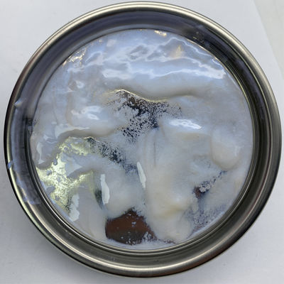M152 1K Blue Pearl Automotive Basecoat Blue to Light Yellow Color Shift Pearl