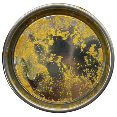 M157 1K Golden Pearl Automotive Basecoat Warm Gold to White Color Transition